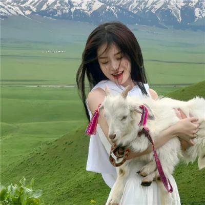 罗曼先生,你好